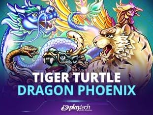 Tiger Turtle Dragon Phoenix game thumbnail